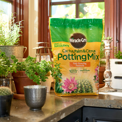 Miracle-Grow Cactus Palm and Citrus Potting Mix
