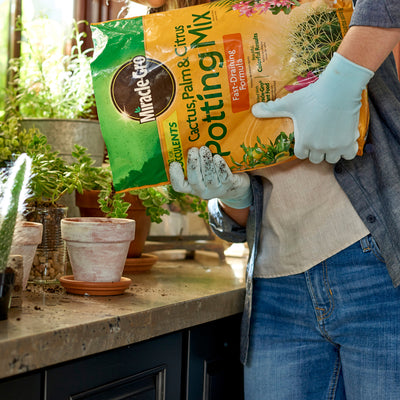 Miracle-Grow Cactus Palm and Citrus Potting Mix