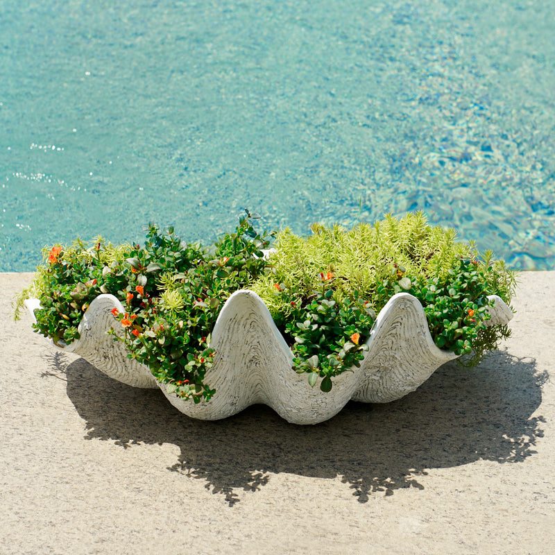 Martha Stewart Seashell Planter