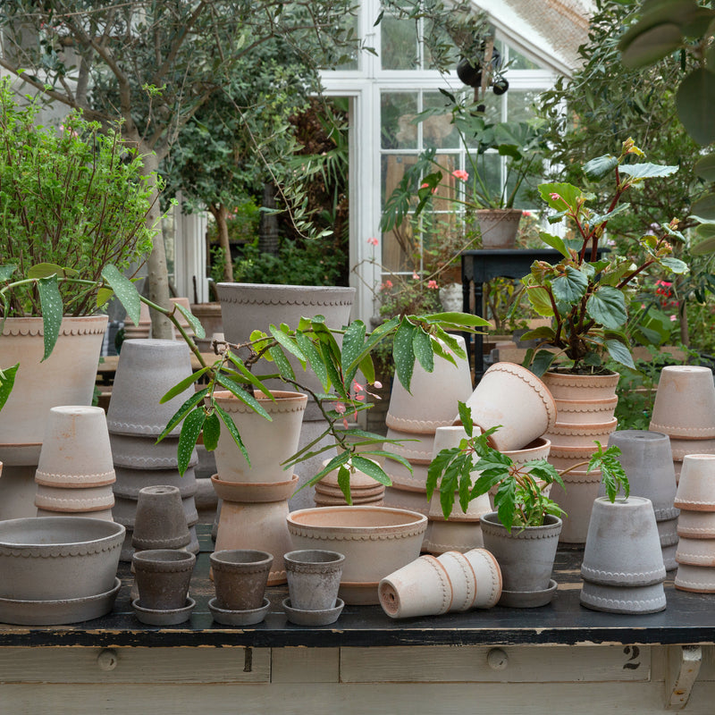 Grey Terracotta