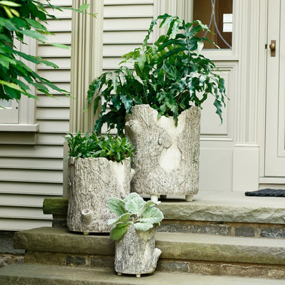 Martha Stewart Faux Bois Planter