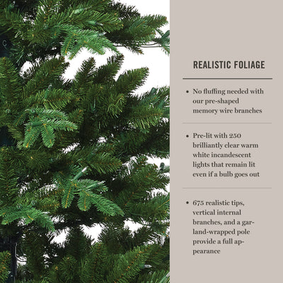 Pre-Lit Green Indexed Tree