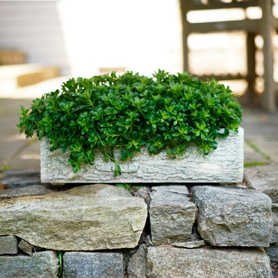 Martha Stewart Faux Bois Trough Planter