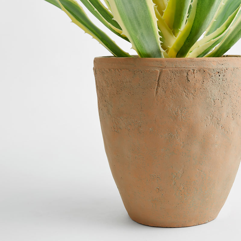 Faux Agave Plant