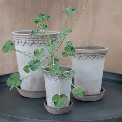 Grey Terracotta