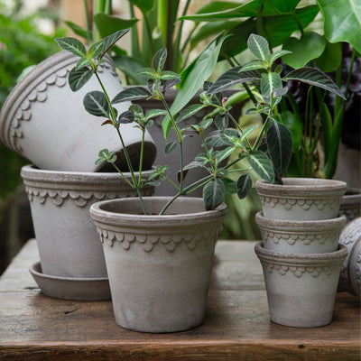 Grey Terracotta