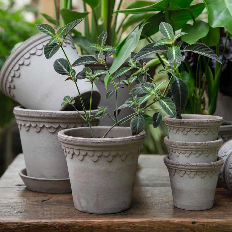 Grey Terracotta