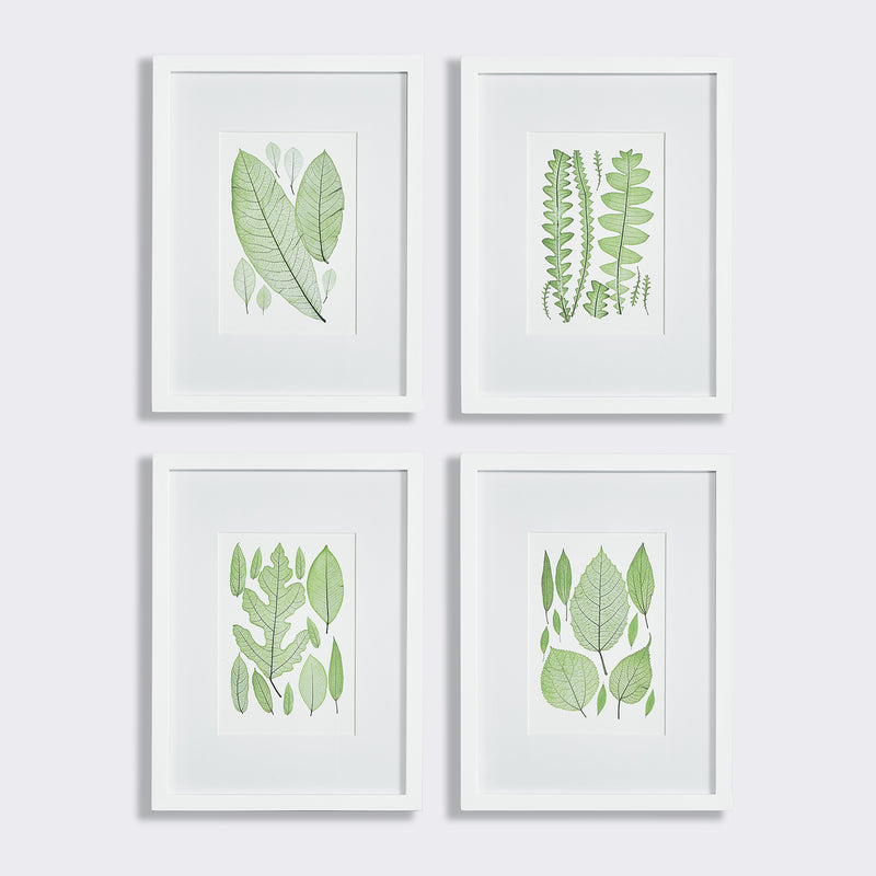 Assorted Leaf Prints, Set of 4