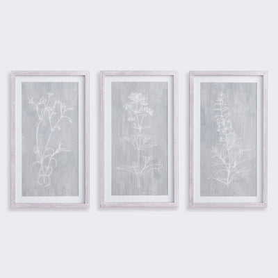 Sketched Botanical Prints, Set of 3