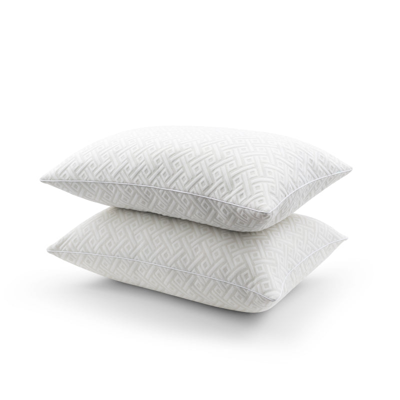 Charcoal Infused Pillow Set of 2